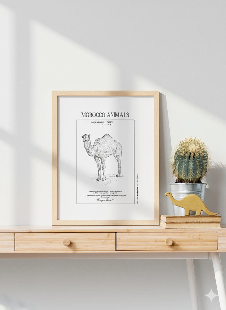 DROMEDARY zoological board